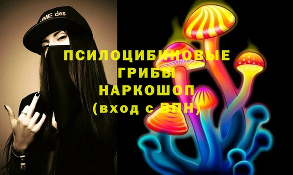 соль курить ск Алзамай