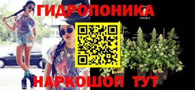 скорость Лесосибирск
