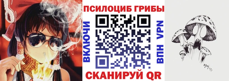 где купить наркоту Красногорск Галлюциногенные грибы Psilocybe