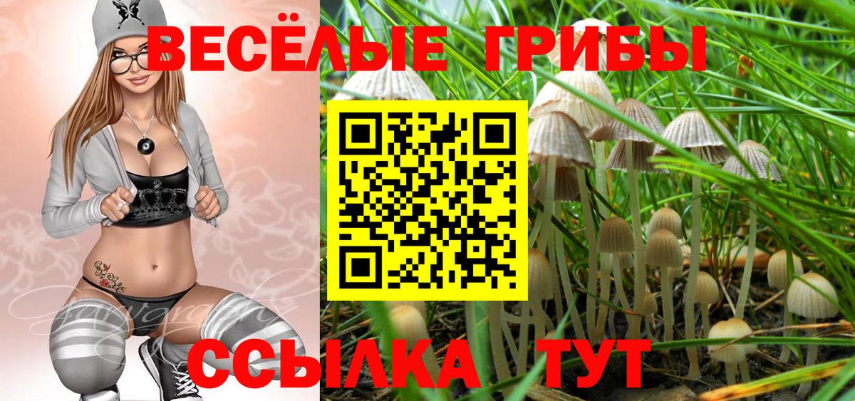 Красногорск  наркошоп  Вход с VPN  Псилоцибиновые грибы Magic Shrooms 