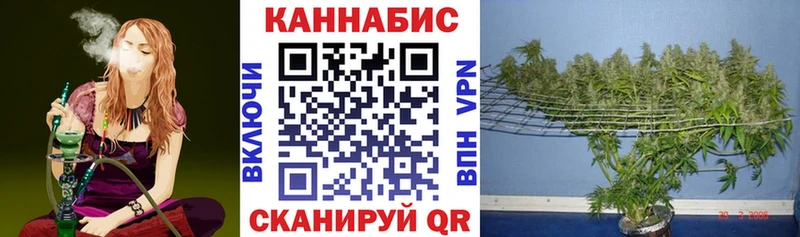 Конопля AK-47  Красногорск 